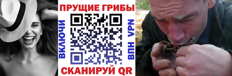 Псилоцибиновые грибы Psilocybe  Большой Камень 